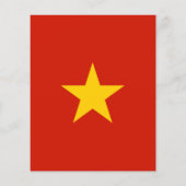 Vietnam flag (Back)