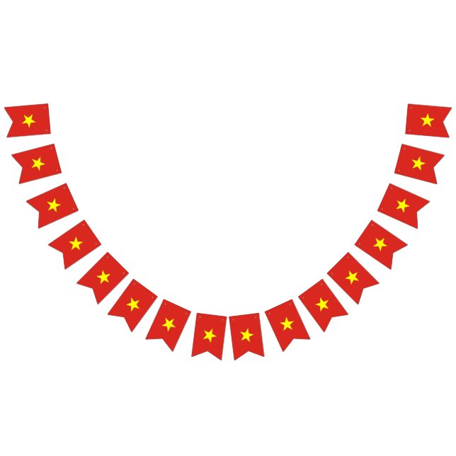 Vietnam flag (All)