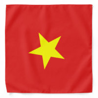 Vietnam Flag bandana