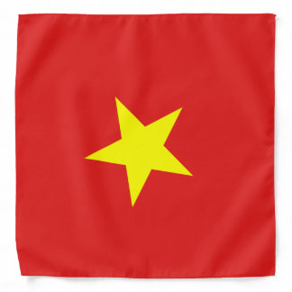 Vietnam Flag bandana