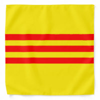 Vietnam Flag (new)