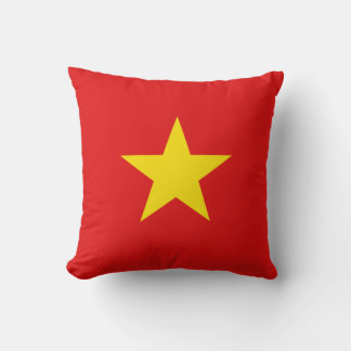 Vietnam Flag x Flag Pillow
