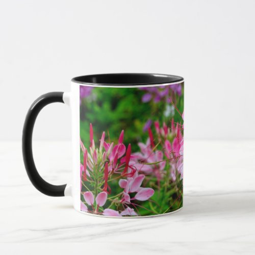 Vietnam _ flower on Ha Giang plateau Mug