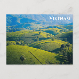Vietnam Long Coc Tea Hills Travel Photo Postcard