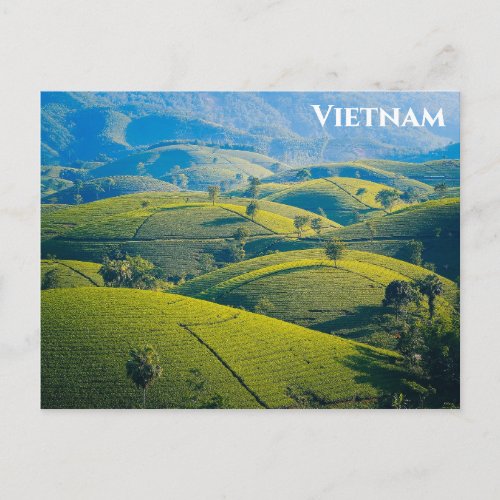 Vietnam Long Coc Tea Hills Travel Photo Postcard