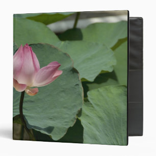Vietnam, near Saigon) My Tho. Vinh Trang 2 Binder
