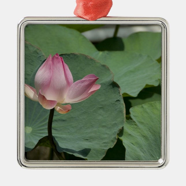 Vietnam, near Saigon) My Tho. Vinh Trang 2 Metal Ornament (Front)