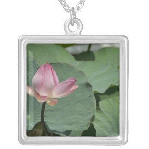 Vietnam, near Saigon) My Tho. Vinh Trang 2 Silver Plated Necklace