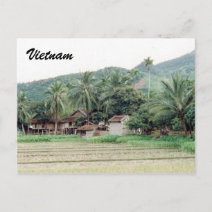 vietnam rice paddies postcard