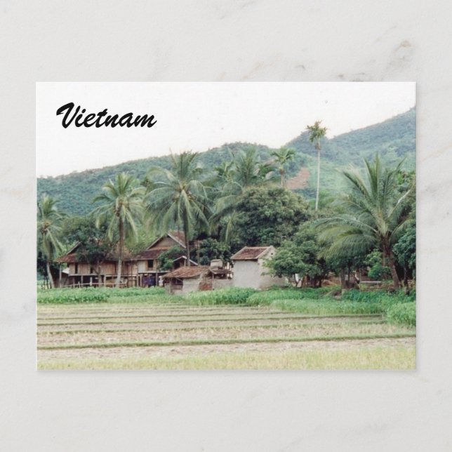 vietnam rice paddies postcard (Front)