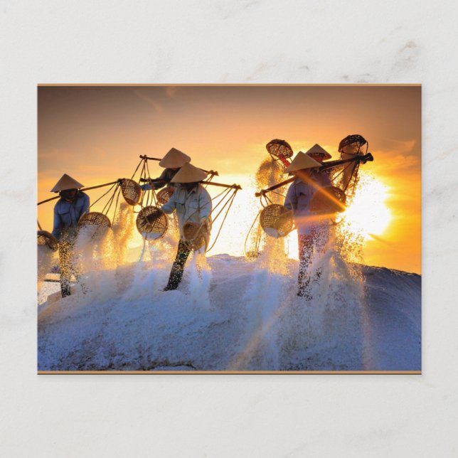 Vietnam Salt Field Postcard (Front)