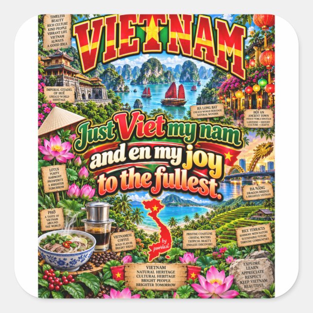 Vietnam sticker (Front)