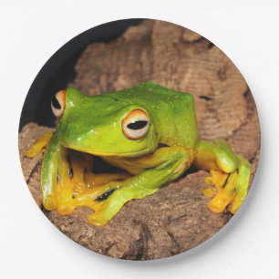 Vietnamese Black-Webbed Gliding Frog Paper Plates