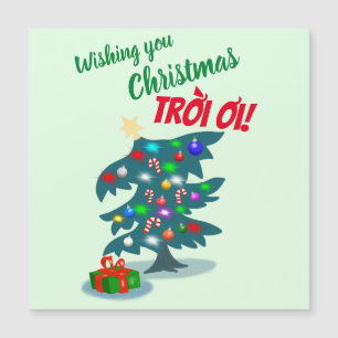 Vietnamese Christmas