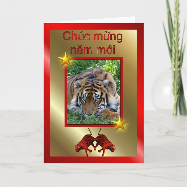 VIETNAMESE HAPPY NEW YEAR - WRITTEN IN VIETNAMESE HOLIDAY CARD (Front)