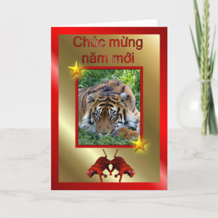 VIETNAMESE HAPPY NEW YEAR - WRITTEN IN VIETNAMESE HOLIDAY CARD