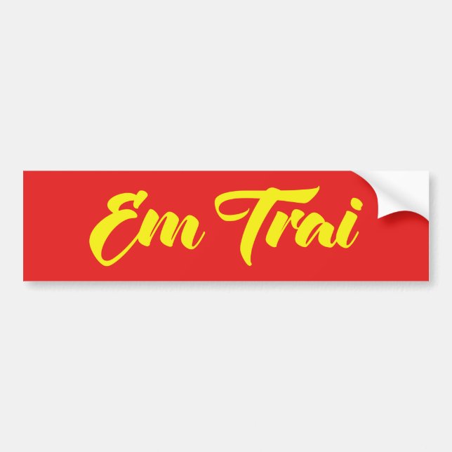 Vietnamese (Young) Brother - Em Trai ~ Tiếng Việt Bumper Sticker (Front)