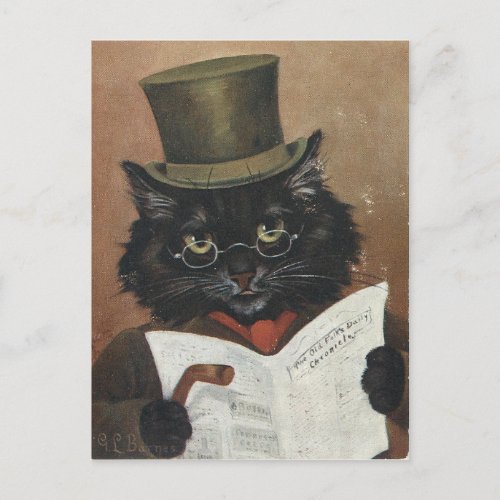 Vieux chat journal postcard