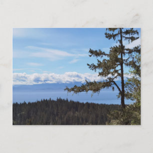 View across the trees from East Sooke, BC, Canada Postcard