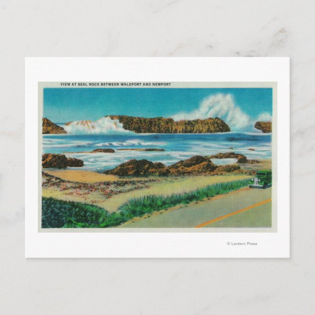 View at Seal Rock between Waldport and Newport Postcard (Front)