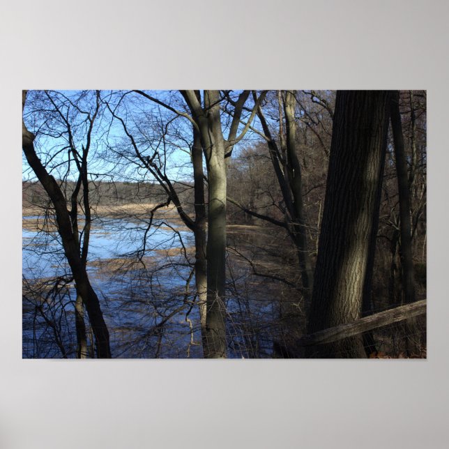 View Beyond the Trees Poster  (Front)