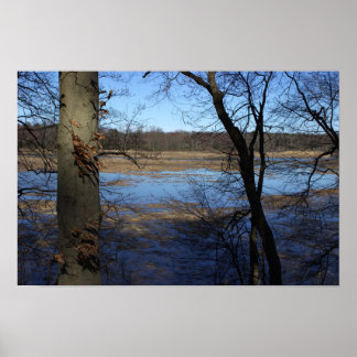 View Beyond the Trees Poster 