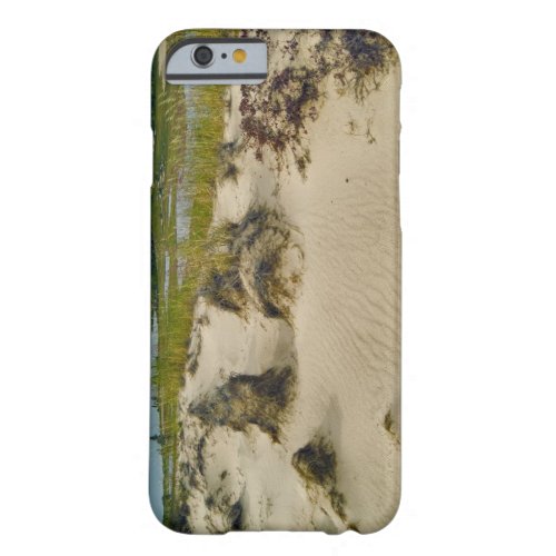 View from a sandy hilltop of lakes and hills on barely there iPhone 6 case