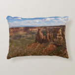 View from Canyon Rim Trail at Colorado Monument Accent Pillow