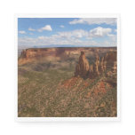 View from Canyon Rim Trail at Colorado Monument Napkins