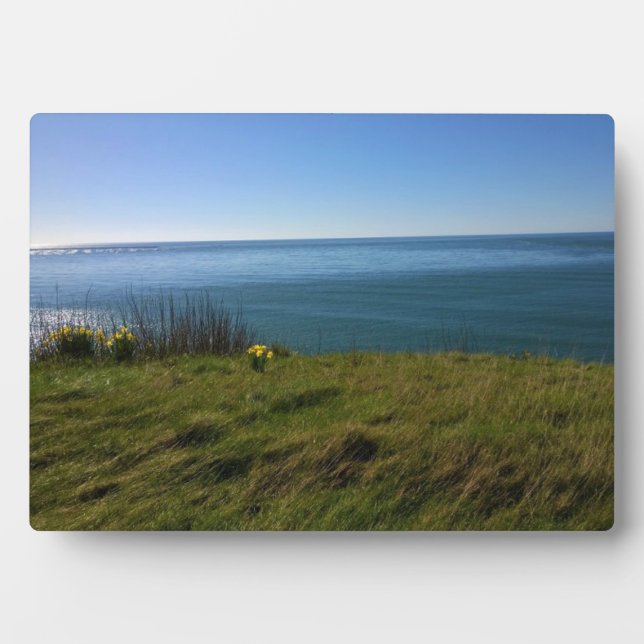 View from Cape Disappointment Lighthouse, WA Plaque (Front)