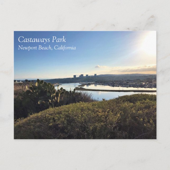 View from Castaways Park, Newport Beach, CA Postcard (Front)