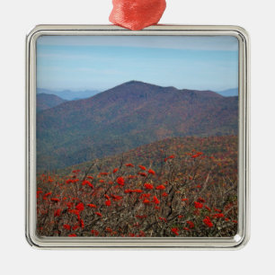 View from Craggy Dome Mountain Metal Ornament