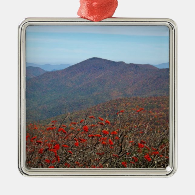 View from Craggy Dome Mountain Metal Ornament (Front)
