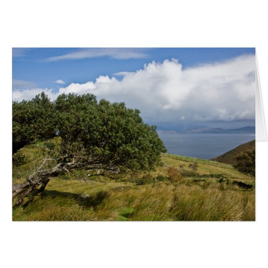 View from Drung Hill (Front Horizontal)