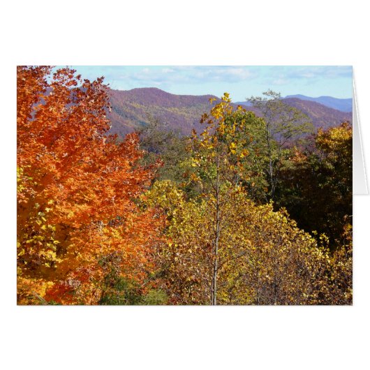 View from Franklin Mountain Cards (Front Horizontal)
