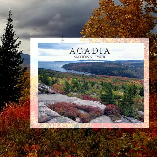 View from Gorham Mountain Acadia National Park ME Postcard