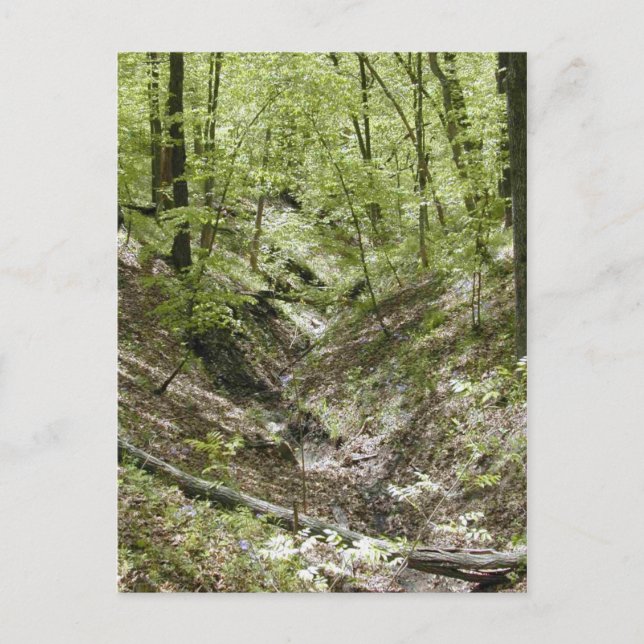 View from Ledges bridge postcards (Front)