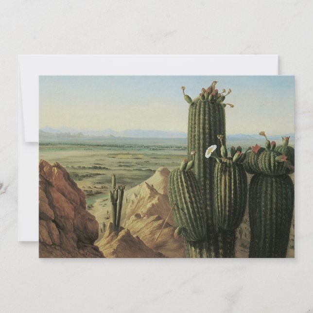 View from Maricopa Mountain Near Rio Gila by Pratt (Front)