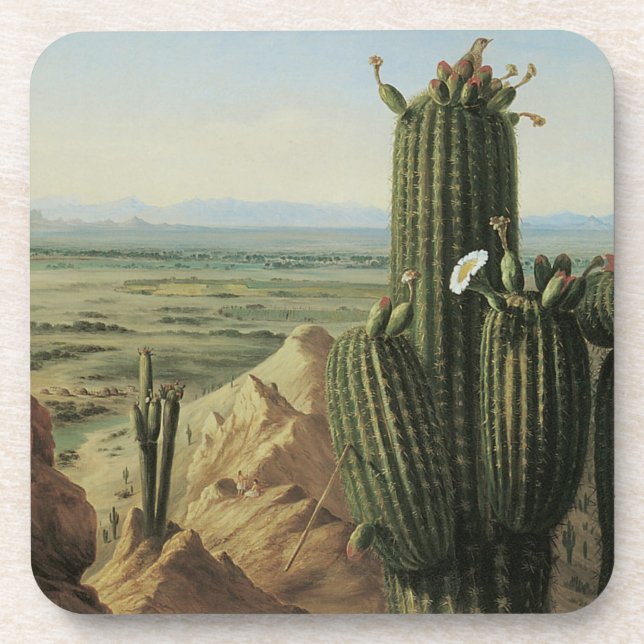 View from Maricopa Mountain Near Rio Gila by Pratt Beverage Coaster (Front)