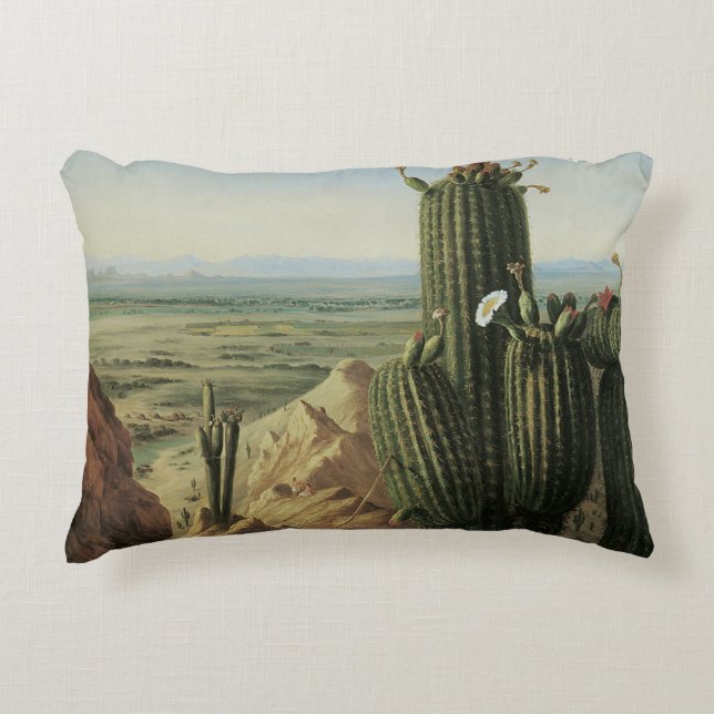 View from Maricopa Mountain Near Rio Gila by Pratt Decorative Pillow (Front)