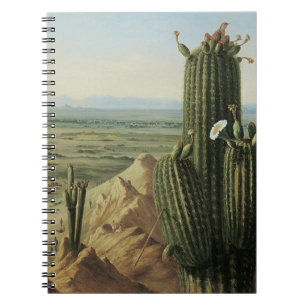View from Maricopa Mountain Near Rio Gila by Pratt Notebook