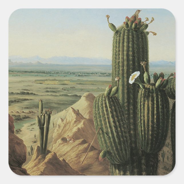 View from Maricopa Mountain Near Rio Gila by Pratt Square Sticker (Front)