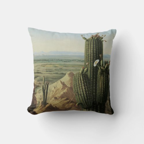 View from Maricopa Mountain Near Rio Gila by Pratt Throw Pillow