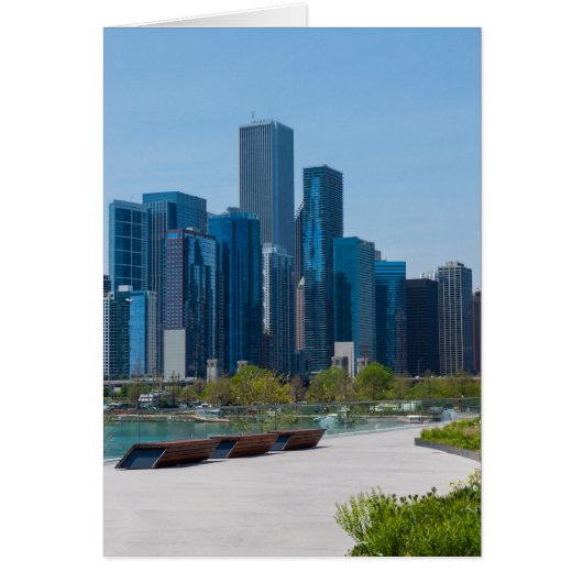 View From Navy Pier Cards (Front)