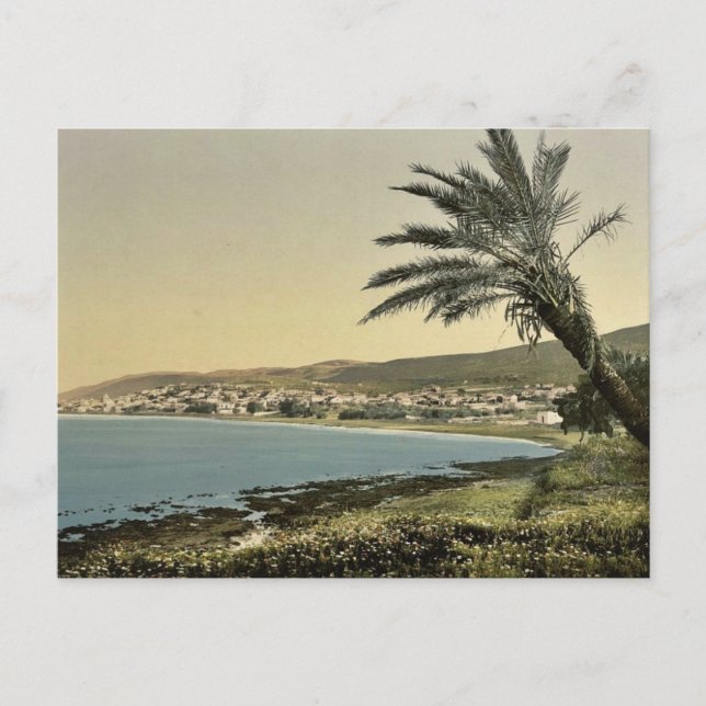 View from near foot of Mount Carmel, Chaifa, (i.e. Postcard (Front)