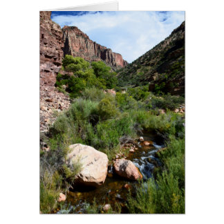 View from North Kaibab Trail Cards
