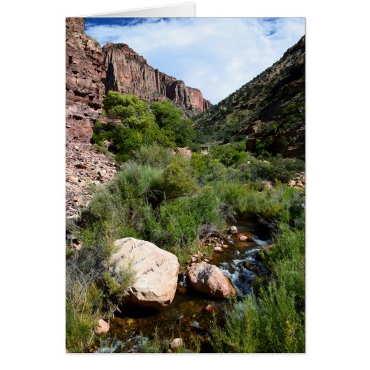 View from North Kaibab Trail Cards (Front)