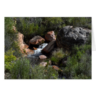 View from North Kaibab Trail, Grand Canyon Cards