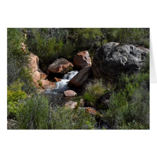 View from North Kaibab Trail, Grand Canyon Cards (Front Horizontal)