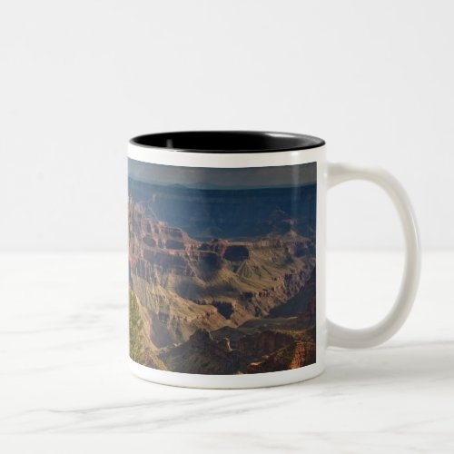 View from North Rim Visitor Center _ Grand Two_Tone Coffee Mug